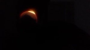 1 инкубация 13 день, овоскопирование куриного яйца!