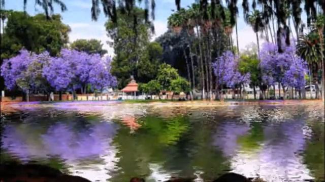 Мелодия небес смотреть онлайн