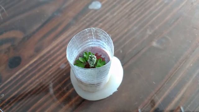 МАЛЕНЬКИЙ МИР Внутри Капсулы из Эпоксидной Смолы и Дерева DIY смотреть онлайн