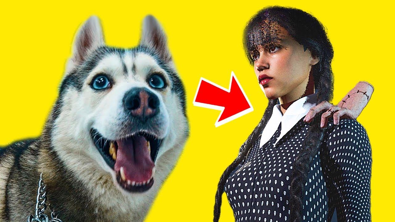 ФИНАЛЬНАЯ БИТВА с УЭНСДЕЙ АДДАМС!! (Хаски Бандит) Говорящая собака смотреть онлайн