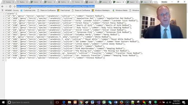 Make a simple HTML form with input, submit, form, and text tags смотреть онлайн