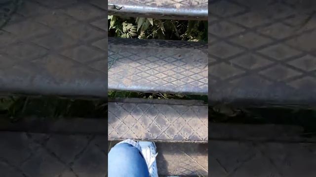 Специально для Услышано Вичуга смотреть онлайн