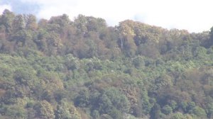 Сочи, поселок Веселое у границы Абхазии