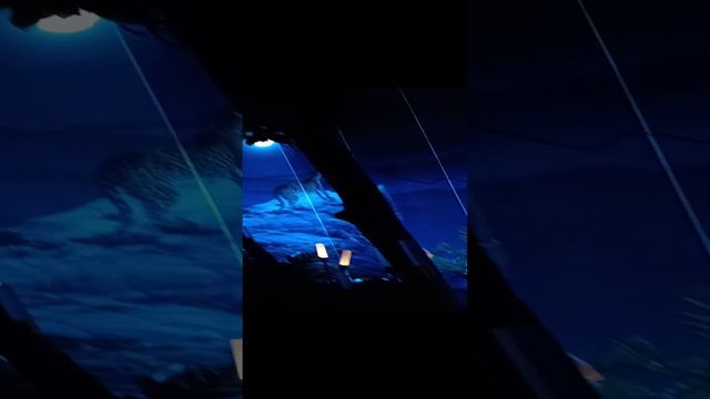 1000003111.mp4 смотреть онлайн