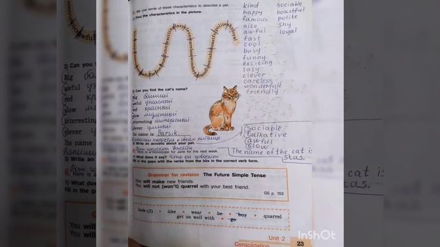 6 класс. Английский язык. Рабочая тетрадь. Activity book. Unit 2 Lesson 6. Кузовлев. смотреть онлайн