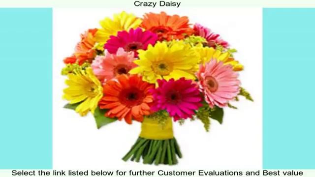 Crazy Daisy смотреть онлайн