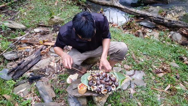 Giang Phong vlog.Searching for food in the forest lost in the deep forest смотреть онлайн