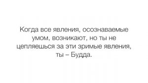 Практика наблюдения за умом. Часть 2