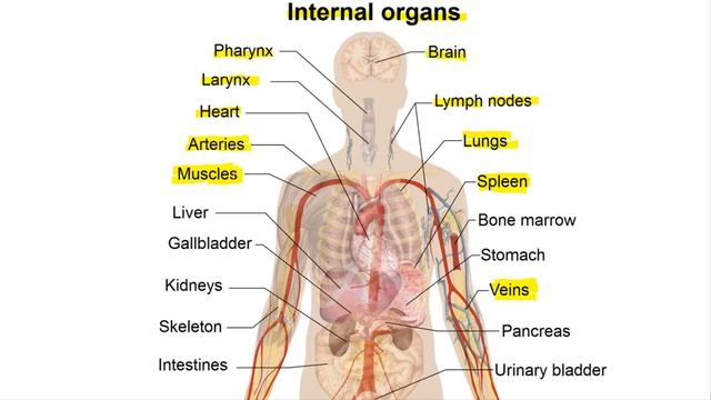 Десять слов на день - Ten words for the day #16 смотреть онлайн
