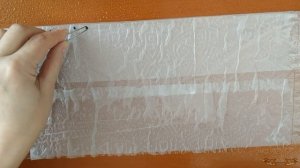 Лук из семян. Посев на рассаду. Супер способ посева лука Эксибишен и не только