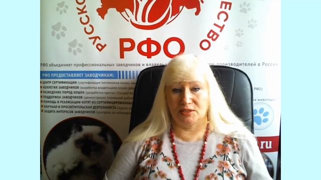 Ошибки заводчиков при продаже котят. смотреть онлайн