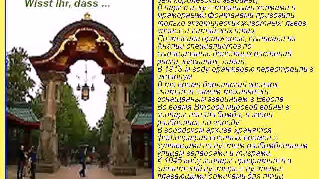 Немецкий язык.В зоопарке смотреть онлайн