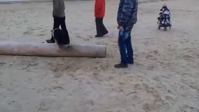 С Моней на пляже!!!!!!!! смотреть онлайн