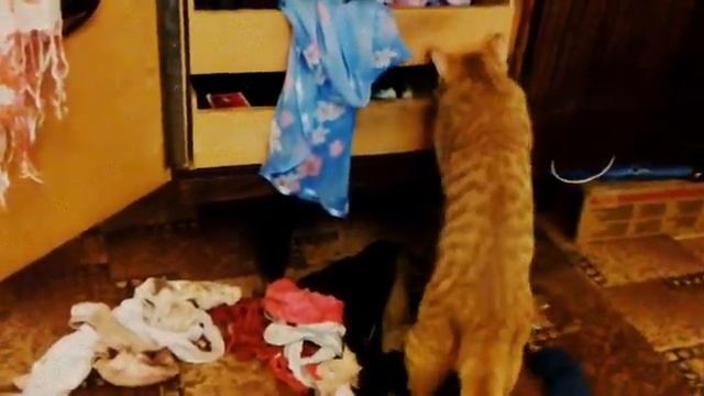 Почему в доме беспорядок? смотреть онлайн