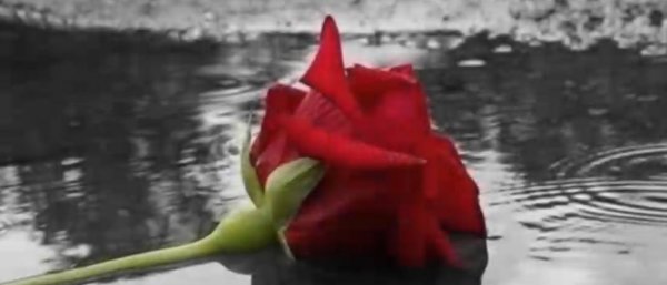 One Day At A Time  -  Elton John  -  (1975).mkv