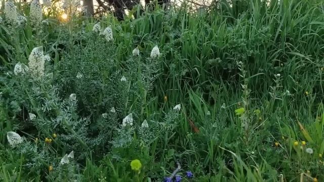 И люди точно так же будут ходить по кругу до изнеможения, пока, как бараны, не грохнутся на землю. смотреть онлайн