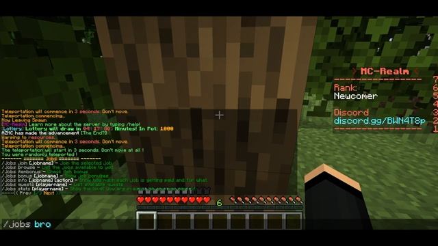 Minecraft Lets Play: A TOWNY SERVER?! - Ep 1 [PC] смотреть онлайн