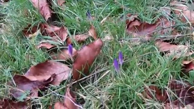 Video 275 смотреть онлайн
