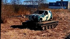 ока на гусеничной платформе ЕГОЗА