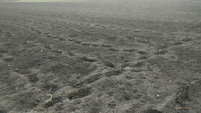 Сажаем ранний сорт картошки под мотоблок. Сезон 2021 открыт.? смотреть онлайн