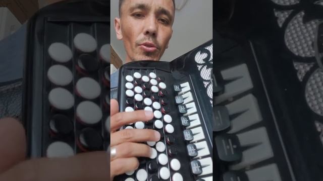 "Өфө йүкәләре". Разбор песни на баяне. как научиться играть на баяне смотреть онлайн