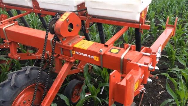 13 июня подкормка кукурузы смотреть онлайн