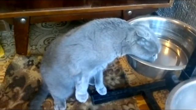 кто выпил воду смотреть онлайн