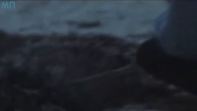 Они Нашли Настоящую РУСАЛКУ и Вот Что Произошло Далее... смотреть онлайн