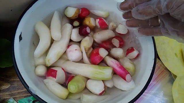 ЧТО ДЕЛАТЬ С ЛИШНИМ РЕДИСОМ .КАК СОХРАНИТЬ РЕДИС . смотреть онлайн
