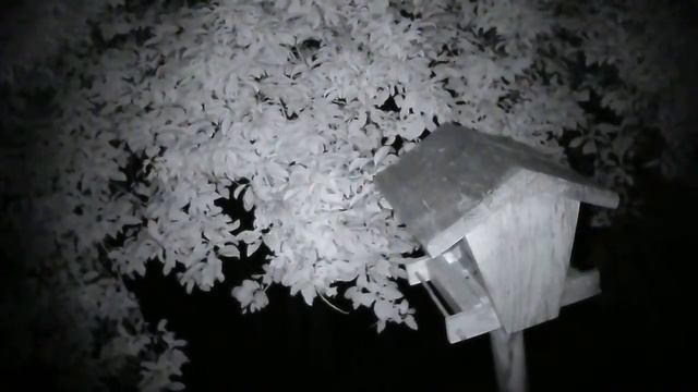 Жела Live Stream смотреть онлайн