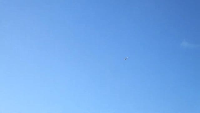 Reptile S800 первый полёт / first flight смотреть онлайн