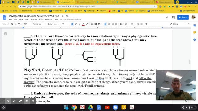 Phylogenetic Trees Online Activity Video Discussion (DE Bio) смотреть онлайн