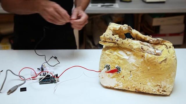 Radio Mycelium & How I Hack Plant Conversations смотреть онлайн