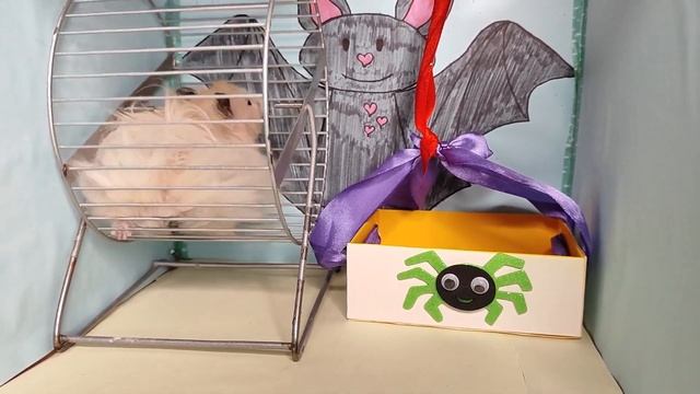 БЕЗДОМНЫЙ ХОМЯК ищет ЛАКШЕРИ ДОМ | СТРОИМ ДОМ смотреть онлайн