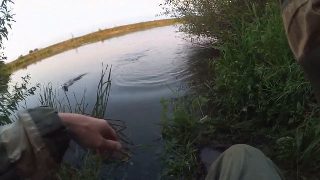 Раттлины от Hunter. Жерех от них без ума! смотреть онлайн