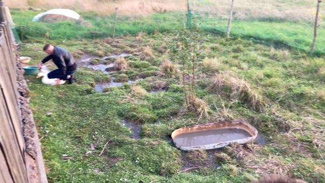 Натуральное хозяйство [03/09/2021]