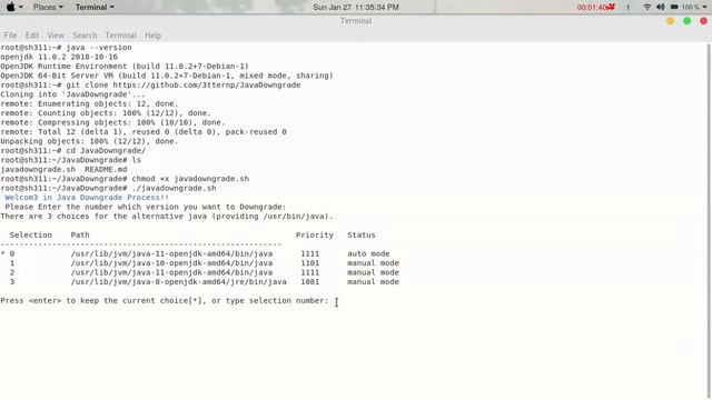 Downgrade Java 11 to Java 8 in Kali Linux 2018.4 or 2019 weekly смотреть онлайн