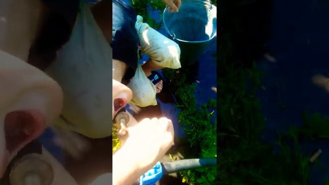 когда сильны1 сэкс