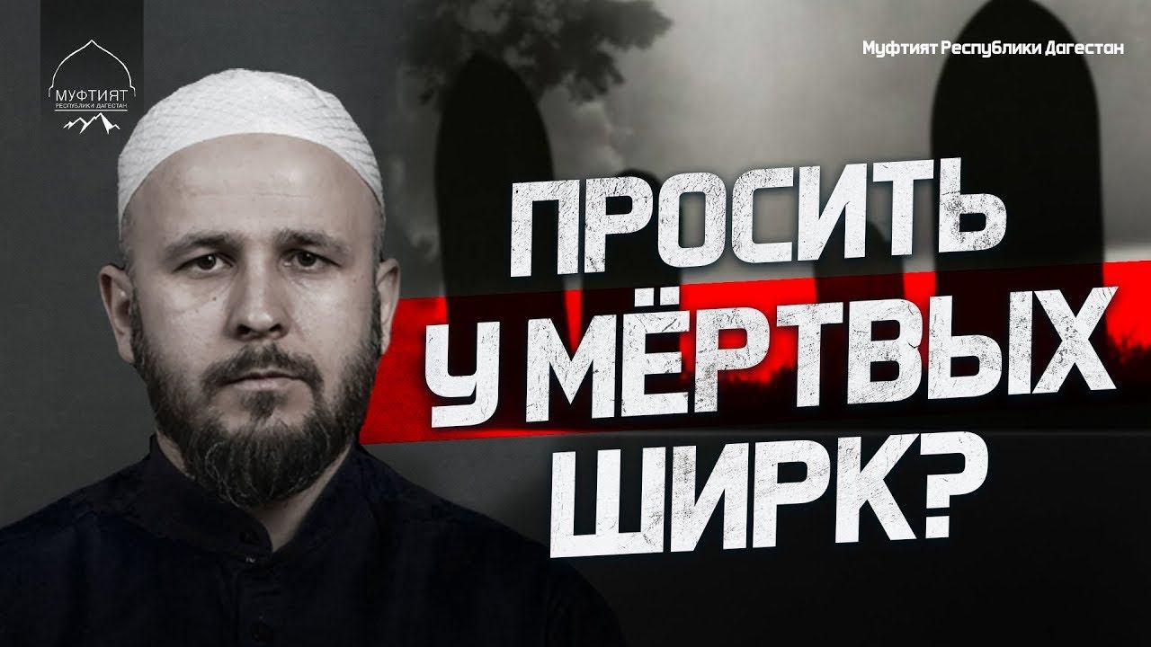 ПРОСИТЬ У МЕРТВЫХ   ШИРК?