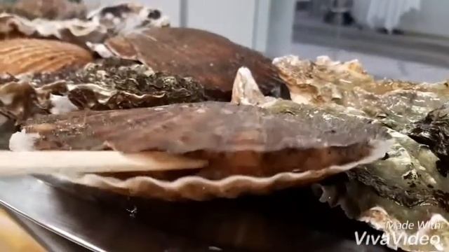 Морской Гребешок смотреть онлайн