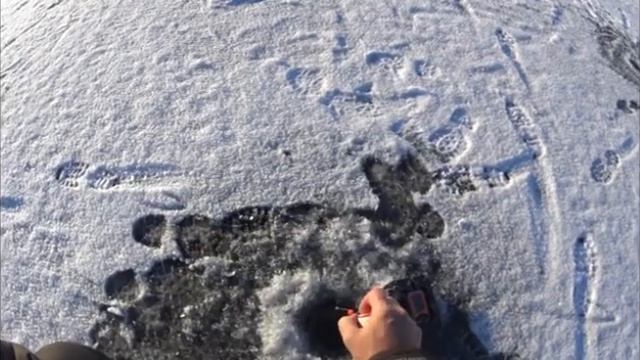 Рыбалка на КАРЬЕРЕ.Щука.Окунь. Видео отчёт 28.11.2020 смотреть онлайн