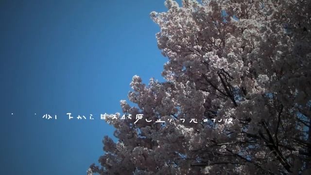 キネティックタイポグラフィっぽいPVサンプル《♪桜日和》【J動画】 смотреть онлайн