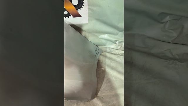 Citroen Chronicles: The Adventures Of A Car Enthusiast