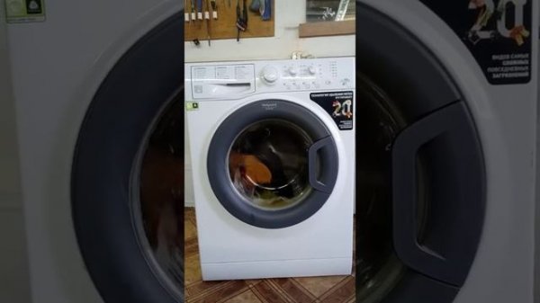 Стиральная машина Hotpoint Ariston VMSL 5081