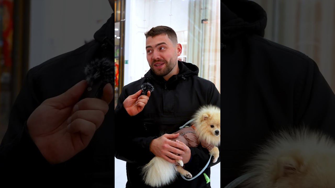 Опрос среди мужчин Ульяновска смотреть онлайн