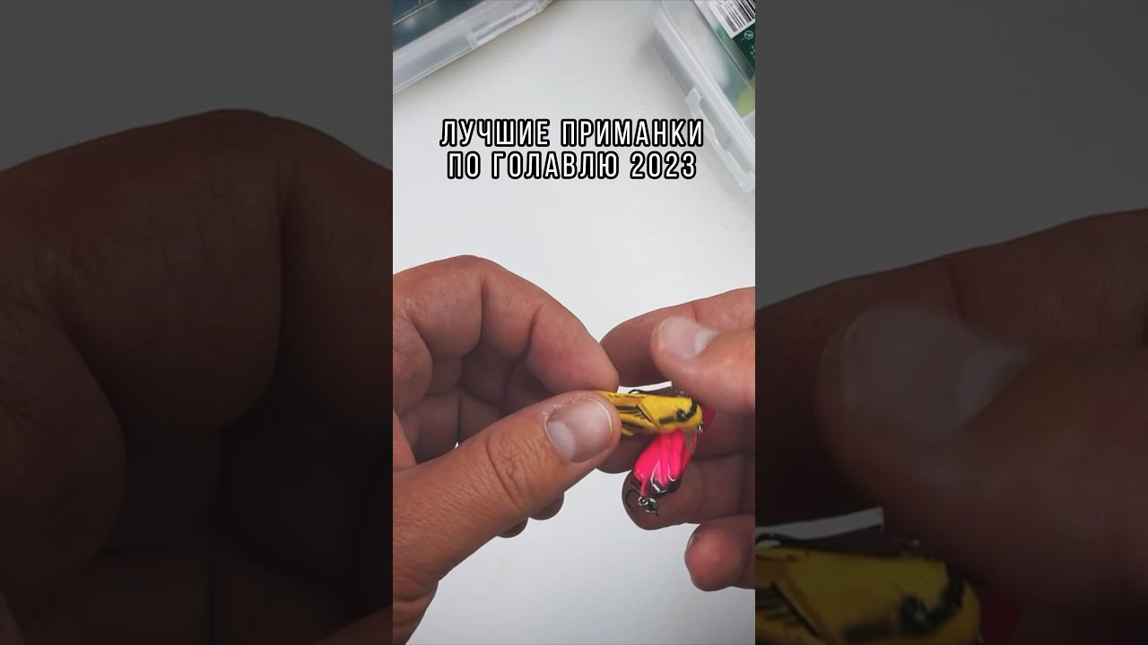 Это лучшие приманки в 2023 году по голавлю ☝️ #рыбалка #спиннинг #fishing #shorts #воблеры смотреть онлайн