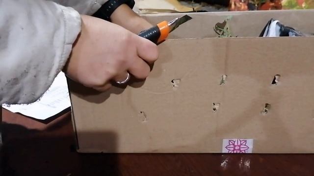 Обзор посылки из питомника "Цветник Поволжья". Ложка дёгтя, почти без мёда ???? смотреть онлайн