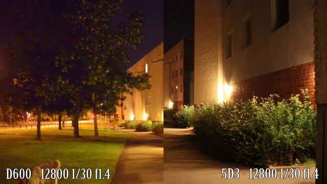 Nikon D600 vs Canon 5D Mark III - Low Light video showdown смотреть онлайн