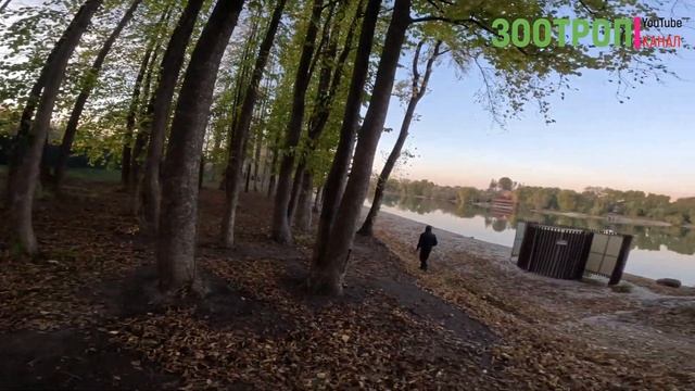 Гидропарк Умань. Достопримечательности. Золотая осень. Украина прекрасна. Софиевка. МАФ. #зоотроп смотреть онлайн