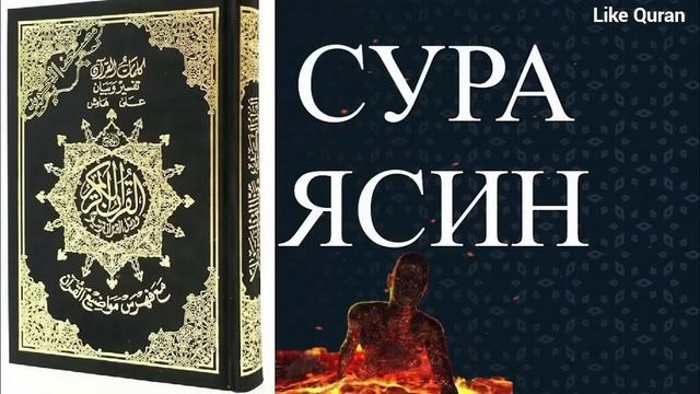 сура ясин утро سورة يس лечение сердца красивое чтение смотреть онлайн